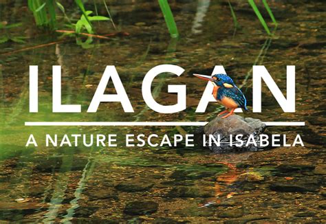fuyot springs national park photos|Ilagan Sanctuary: An Easy Nature Escape in Ilagan City, Isabela.